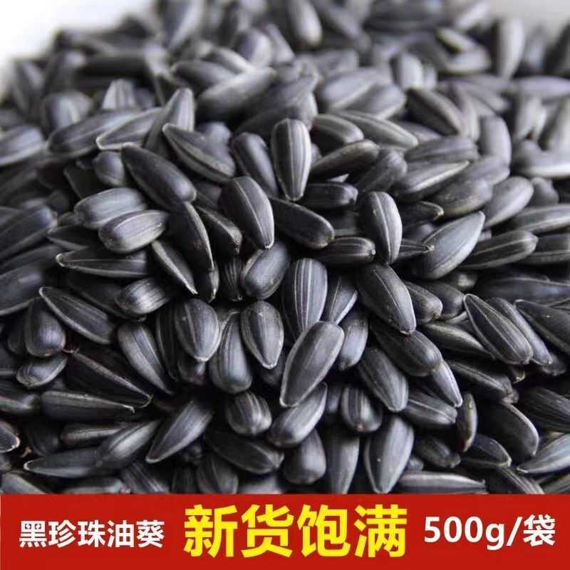 黑珍珠瓜子葵花籽现炒原味油葵小油毛嗑小包装内蒙新货零食向日葵
