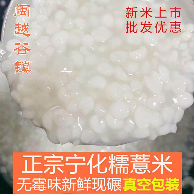 福建宁化糯薏米仁新鲜薏苡仁小粒薏仁米新货特级批发优质米仁