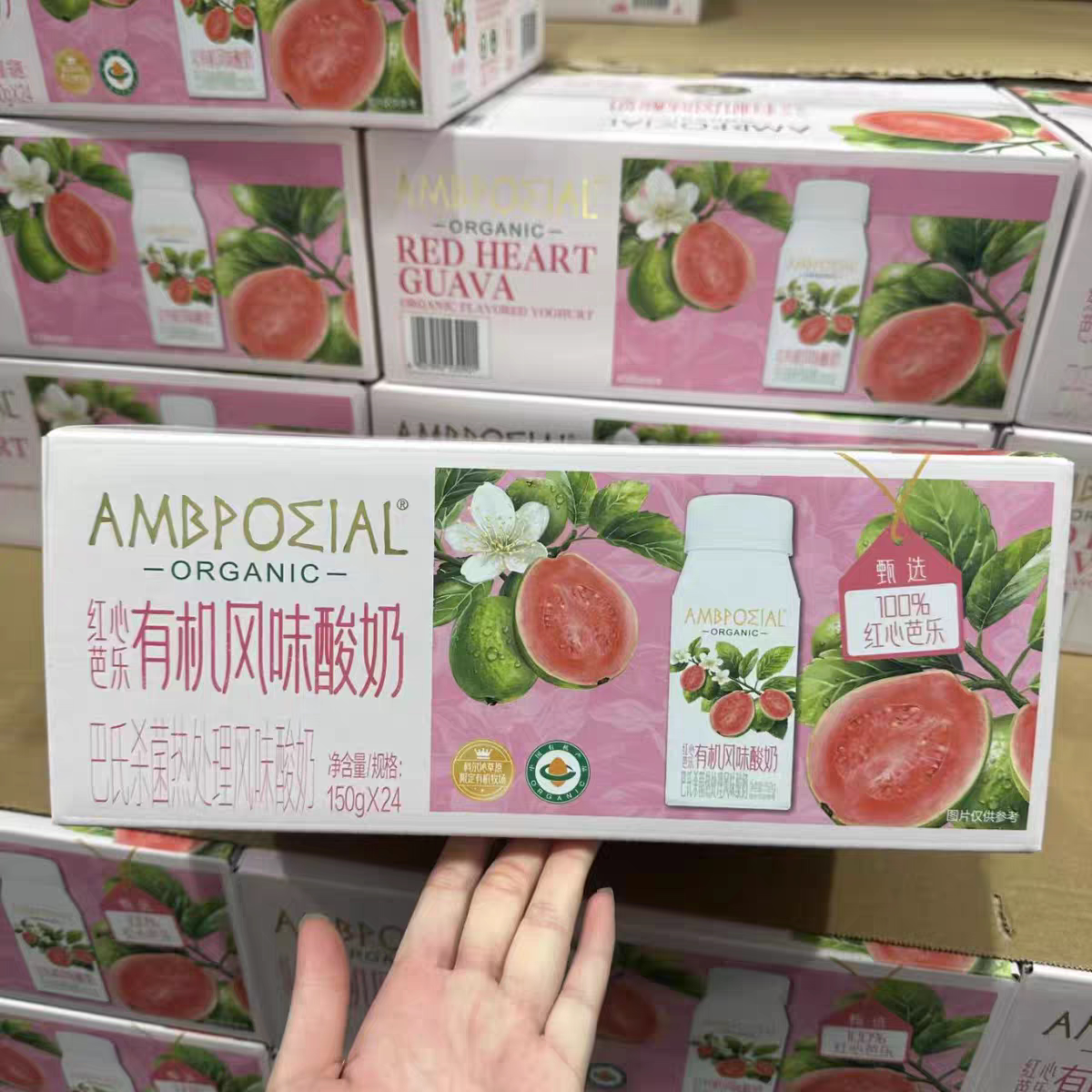 山姆红心芭乐有机风味酸奶巴氏杀菌轻盈健康早餐奶代购官方旗舰店