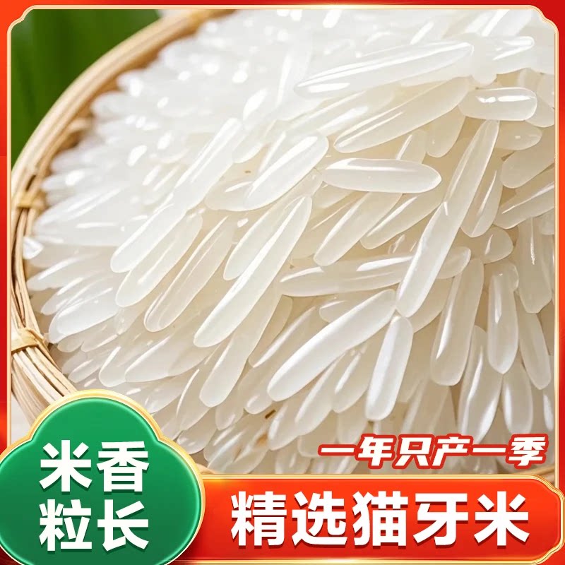 长粒大米香米新米籼米猫牙米丝苗米大米软糯现发现磨米好吃