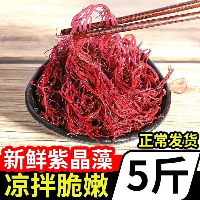 龙须菜凉菜火锅菜5斤/2斤/1斤山东特产凉拌菜头发菜海发菜海草藻