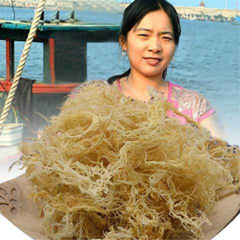 鹿角菜龙须菜干货1斤海草石花菜海发菜凉拌菜5斤多规格可选批发