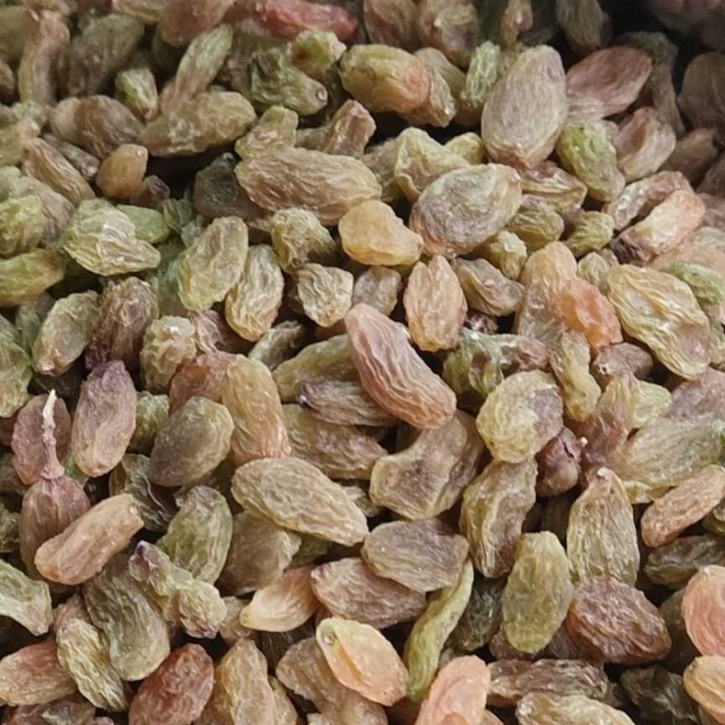 新货新疆吐鲁番特产无核白葡萄干大颗粒葡萄干蜜钱果干零食批发