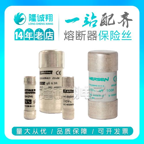 【熔断器保险丝】FR22GG69V6P222216 FF22GG69V8L222972现货