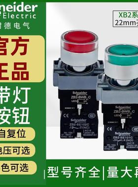 施耐德带灯按钮自复位XB2BW33B1C绿色24VLED开关XB2BW34M2C红220V