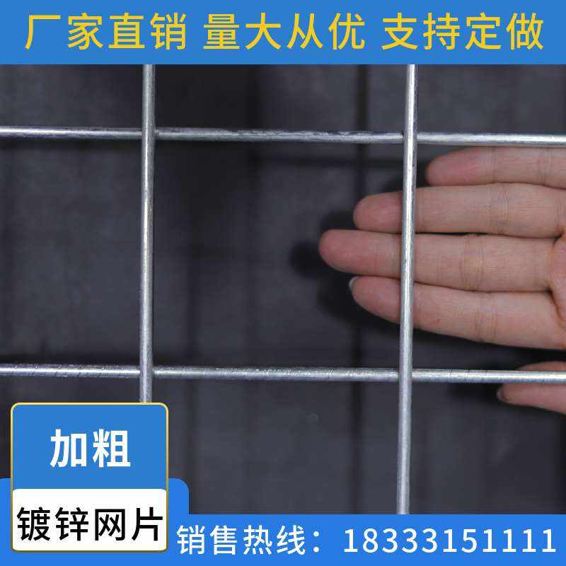 促镀锌网片电焊网片镀锌铁丝网养殖铁网网格狗笼货架镀锌钢隔离防