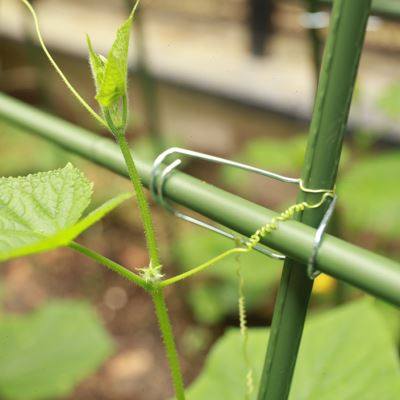 园艺架花架扣十字夹架子包塑管配件卡支架竹竿卡扣竹弹簧固定架子