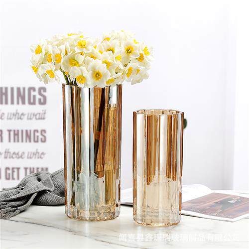 极速欧式轻奢创意造型电镀玻璃花瓶水培水培富贵竹居家艺术摆件装