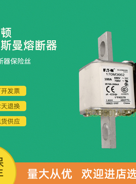全新快速熔断器保险170M3664 170M3665 170M3666 170M3667