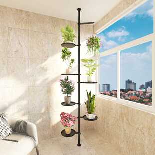 极速室内阳台客厅落地飘窗多层简约高悬挂式 绿萝爬藤吊兰顶天立地