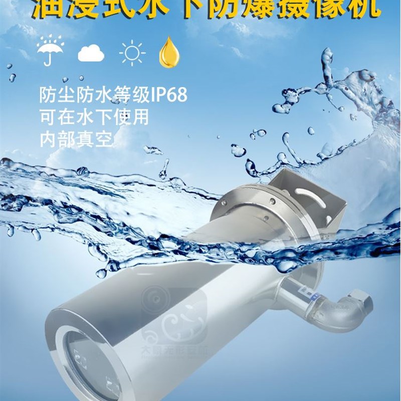 。304不锈钢油浸式防爆红外网路摄像机 防护等级IP68水下专用监控