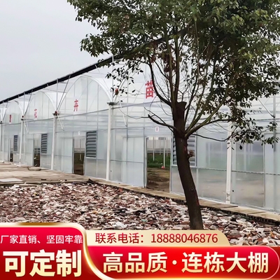 养大植钢管骨架全套室殖种棚花卉蔬菜K大棚架子支架配件定。