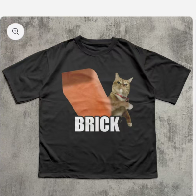 FUNNY CAT THROWING BRICK FUNNY SHIRT MEME 猫扔砖头趣味短袖T