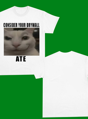 CONSIDER YOUR DRYWALL ATE FUNNY T-SHIRT猫趣味短袖T恤男2025潮