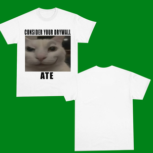 ATE DRYWALL FUNNY T恤男2025潮 CONSIDER SHIRT猫趣味短袖 YOUR