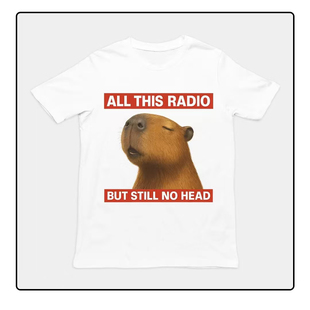 CAPYBARA FUNNY T-SHIRT水豚美式休闲短袖T恤男女上衣圆领2026夏