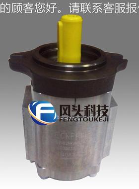 德国ECRKELE1艾可勒EPS2-01LA04I-12S111内啮合WFX齿轮泵油泵