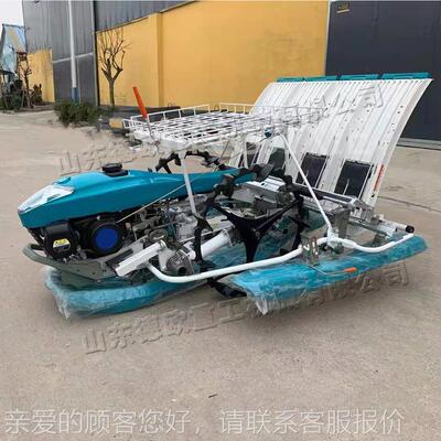 小型水冲稻插秧机 XZZ四 程缸汽油栽秧设备手扶进式水田栽步秧机