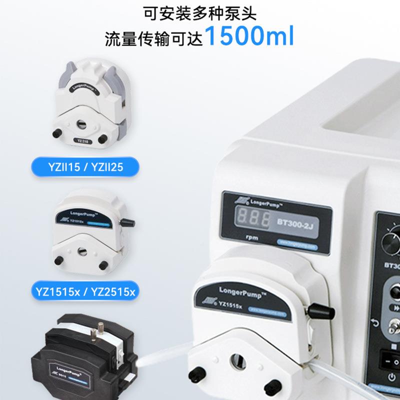 保定兰格 BT3BT300-2J0-2JZ151量5X基本型恒流泵多通道0大流大流