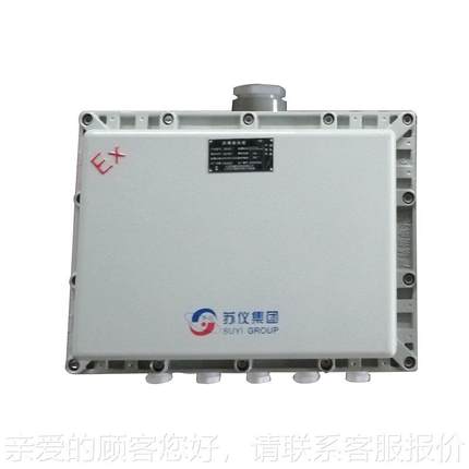 防配电箱成BXK/BXD/套力不锈钢电源表爆照明控制箱厂家动电仪气仪