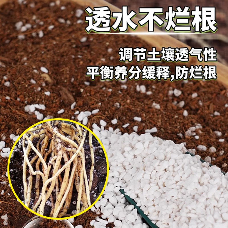 现货速发兰花珍珠岩大颗粒蝴蝶兰养花植料膨胀珍珠岩硬质园艺营养