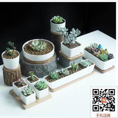速发简约多肉白瓷 迷k多肉陶瓷花带竹托盘不变形ak你a花盆 盆竹托