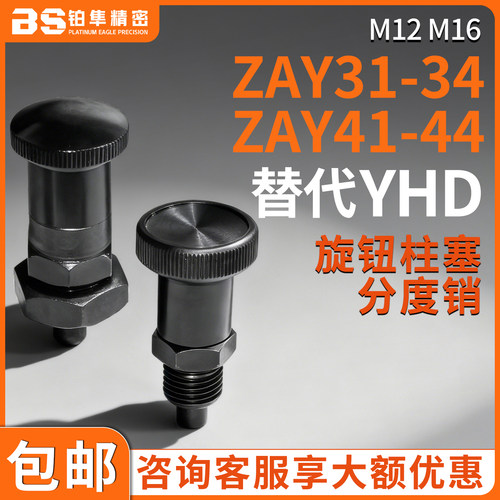 分度销ZAY31 ZAY32 ZAY33 ZAY34 ZAY41 ZAY42 ZAY43 44-M12 M16