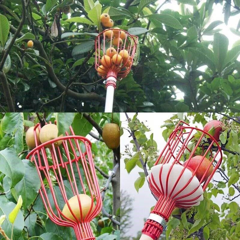 速发新款摘水果神器专业果园高空采摘器园林摘水果摘果篮采摘工具