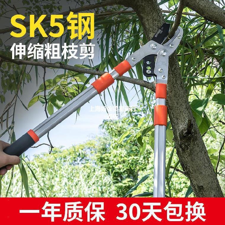 速发树修板剪刀果树剪花果高枝剪伸缩杆加长枝栗树园林绿化长把