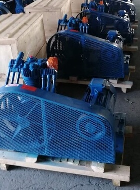 速发柴油机气启动用CZF-20.4/-C,0.4/BF船用空压机排气压力0公斤