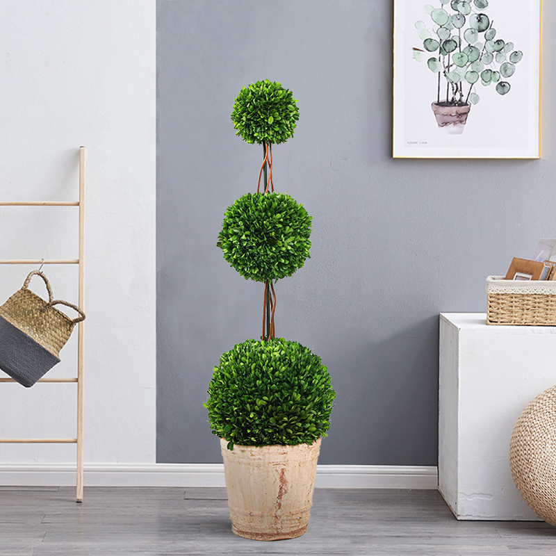 速发栽大型球形厅地植物创意盆景室内客落办公室盆风懒人绿植