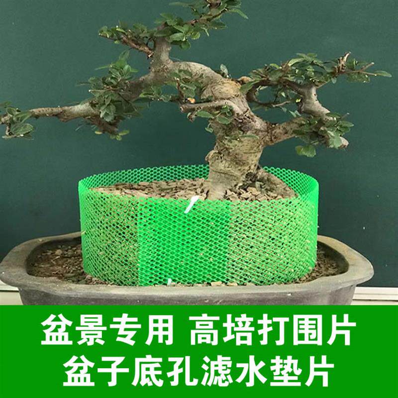 速发盆景加高垫工挡土控根器高培土打围花盆垫片园艺圈具花盆底孔