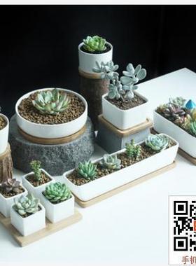 速发简约多肉白瓷盆迷你花肉陶瓷多 竹托盘不变形akka花盆 带竹托
