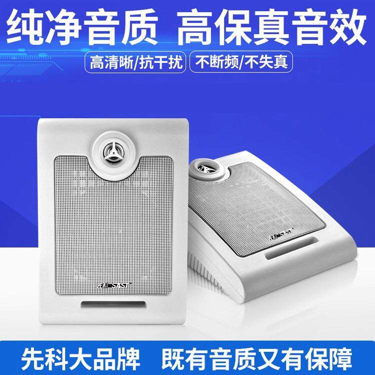 SAST/ A1 壁挂音响背景音乐音箱超市餐厅教室挂壁式音响喇叭