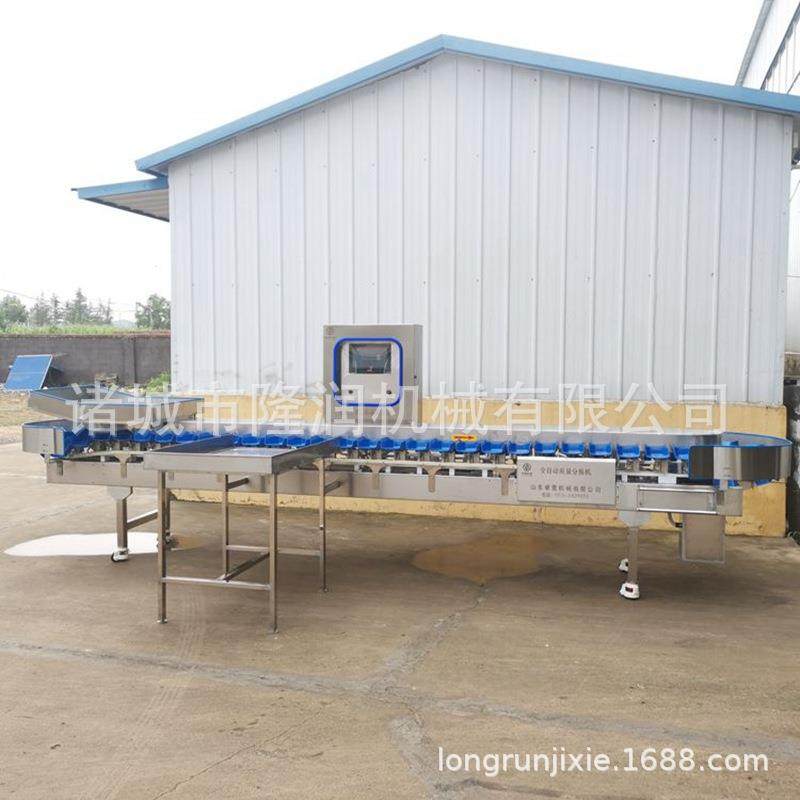 厂家供货全自动海参高精度重量分拣机大闸蟹分拣机快速称重分选,五金/工具,其他包装设备,淘宝优惠券,粉丝福利购,淘宝优惠卷