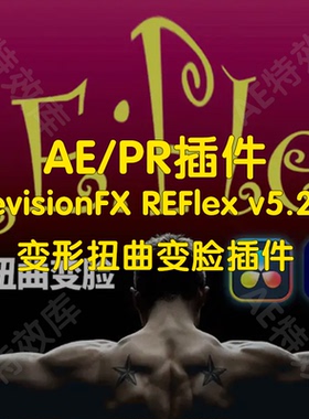RevisionFX REFlex插件ae创造变形效果扭曲变脸变形效果插件