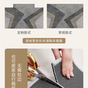 玄关进门门口地毯 地垫入户门垫防滑吸水耐脏脚垫高级家用2023新款