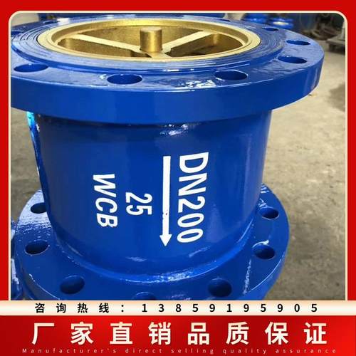 立式消音止回阀HC41X-16 铸铁 铸钢法兰升降单向逆止阀DN50 125