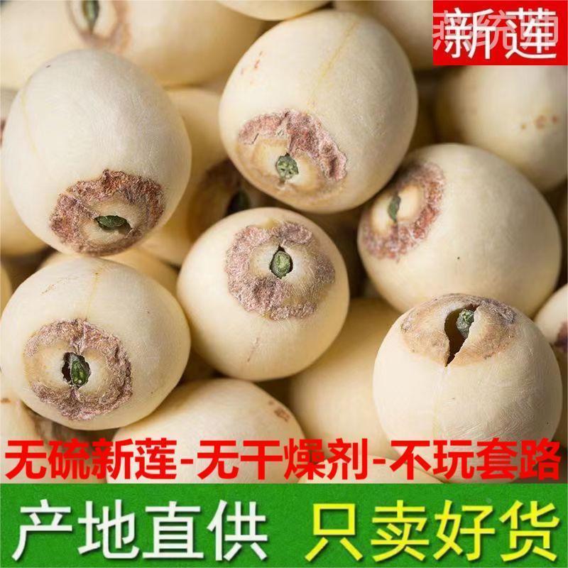 新货特级带芯白莲子干货500g特产湘潭湘莲子带心磨皮莲子有芯无硫
