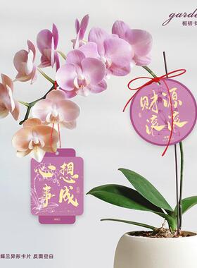 创意紫色蝴蝶兰小吊牌福气满满幸福兰祝福吊卡年宵花冬青装饰挂件