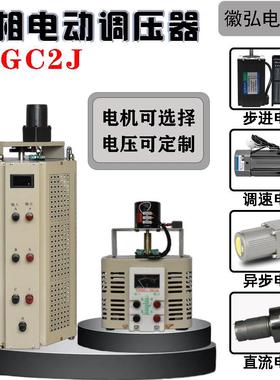 三相单相电动调压器380V接触式TSGC2J-3/6/9/15/20/30/60/100KVA