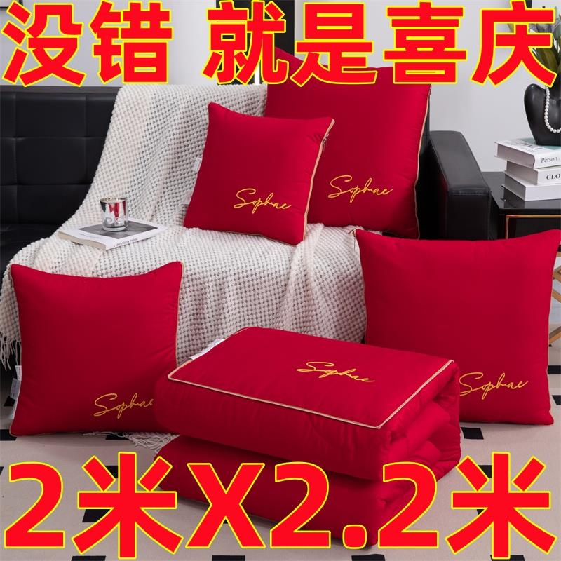 全棉国际A类抗菌被子纯棉抱枕被加大号2米宽车载办公午休夏被机洗