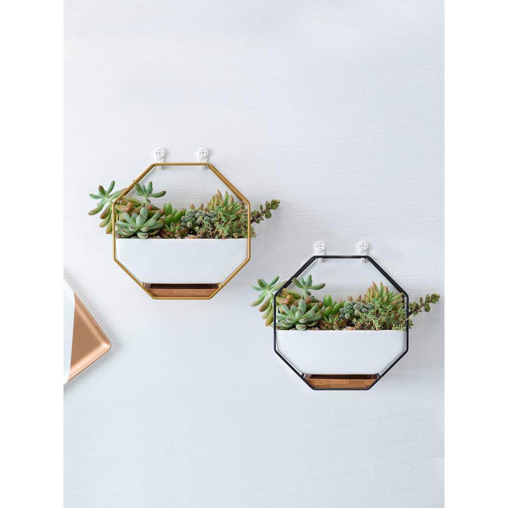 北欧挂壁铁架壁挂陶瓷花盆懒人绿萝墙壁挂式墙上悬挂式挂个性花器,鲜花速递/花卉仿真/绿植园艺,花盆,淘宝优惠券,粉丝福利购,淘宝优惠卷