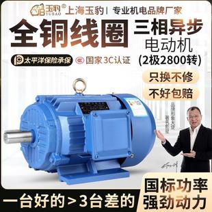 5.5 三相異步電動機2極1.5 2.2 7.5KW交流380V變頻電機調速馬達