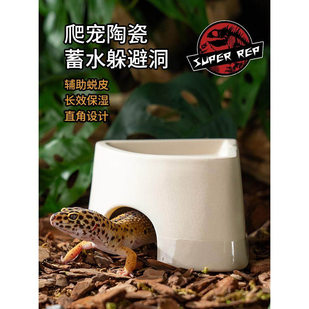 爬宠造景陶瓷加湿躲避洞穴爬虫守宫蜥蜴蛇类角蛙通用躲避屋摆件,宠物/宠物食品及用品,爬宠躲避/造景,淘宝优惠券,粉丝福利购,淘宝优惠卷