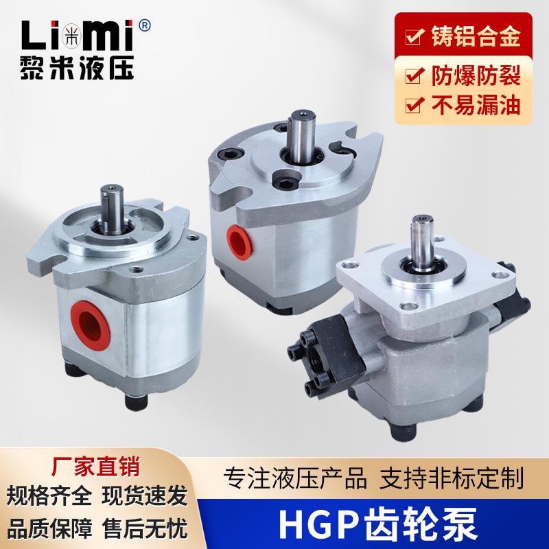 新鸿款液压齿轮泵HGP-1A/2A3A全系列GPY-F2R~F12R系列高压齿轮泵