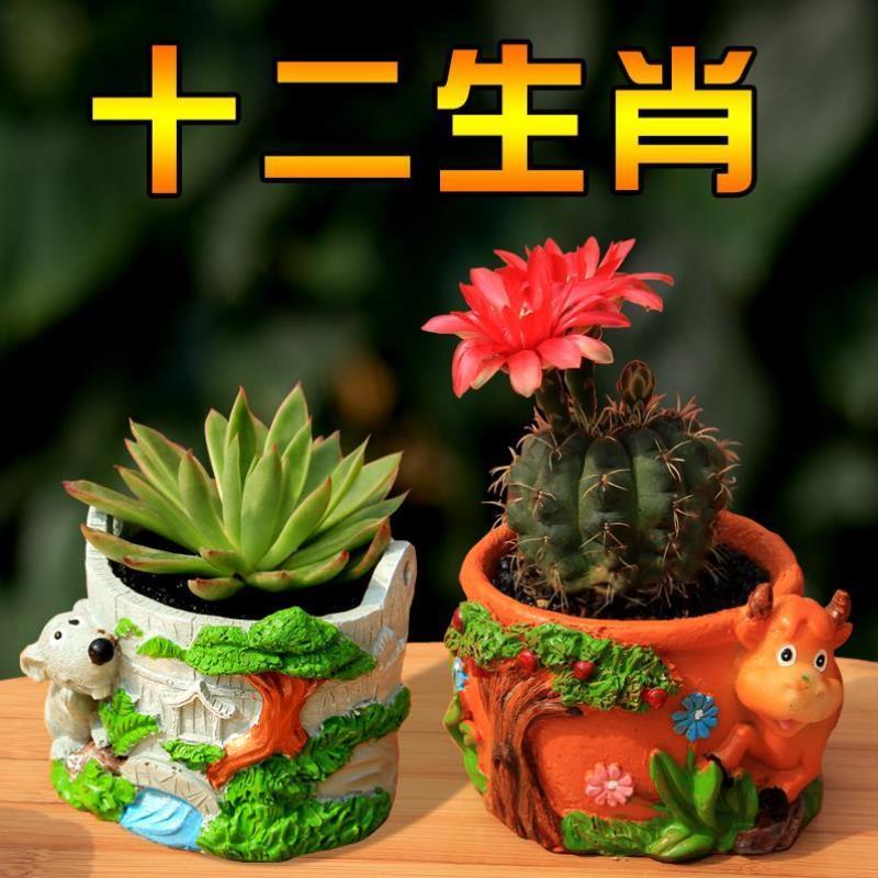 十二生肖手绘树脂花盆创s意卡通动物多肉花盆家用圆形方形小花盆