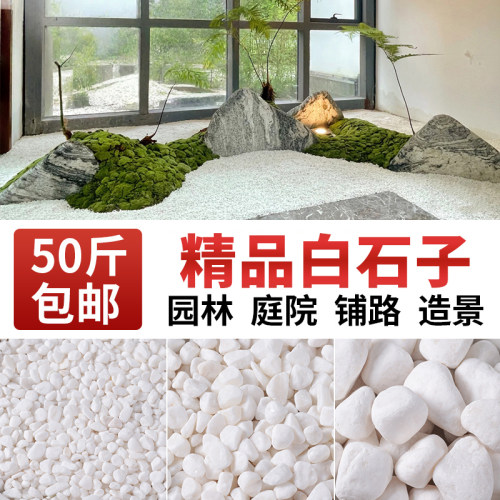 白色石子颗粒水培植物盆栽专用鹅卵石庭院铺地造景鱼缸装饰小石头