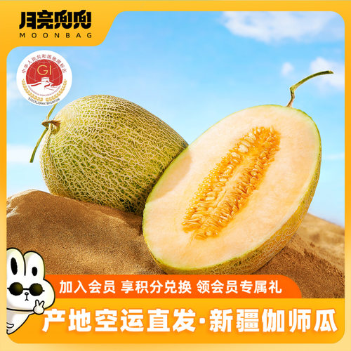 月亮兜兜新疆喀什伽师瓜