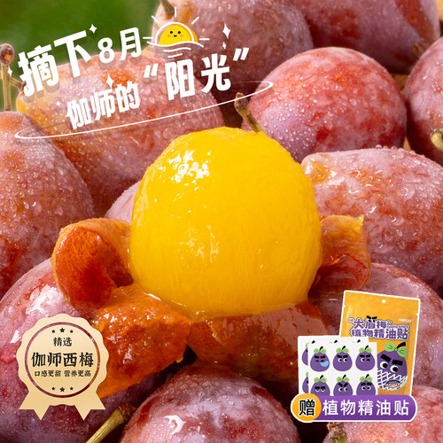 月亮兜兜新疆西梅鲜果喀什伽师法兰西新梅